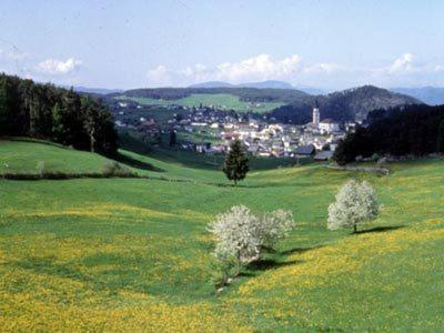 Garni Waldfrieden Hotel Кастелрото Екстериор снимка
